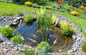 Aqua Pond, Pond Cleaning, Pond Repair, Pond Maintenance