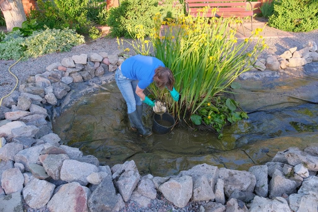 Aqua Pond, Pond Cleaning, Pond Repair, Pond Maintenance