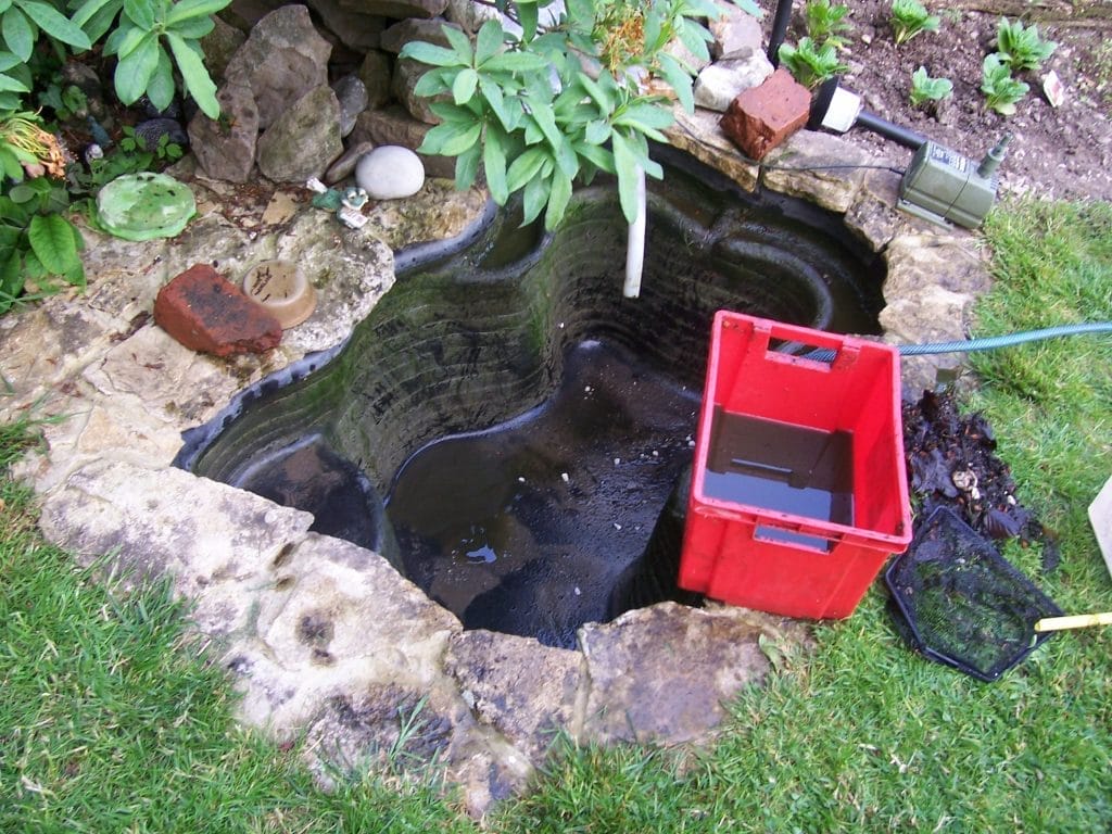 Aqua Pond, Pond Cleaning, Pond Repair, Pond Maintenance