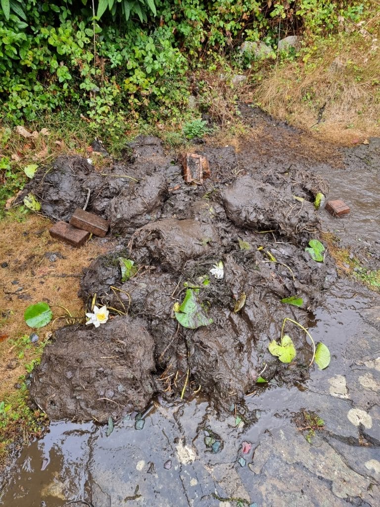 Aqua Pond, Pond Cleaning, Pond Repair, Pond Maintenance