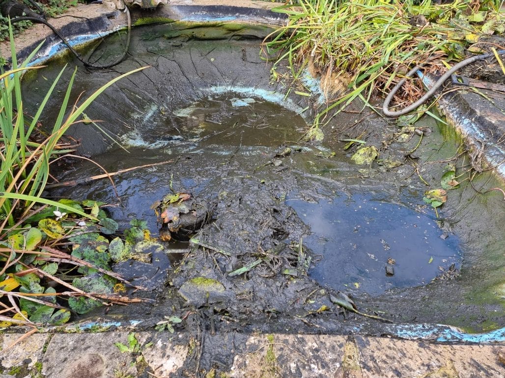 Aqua Pond, Pond Cleaning, Pond Repair, Pond Maintenance