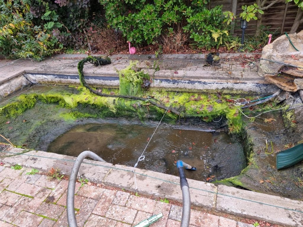 Aqua Pond, Pond Cleaning, Pond Repair, Pond Maintenance