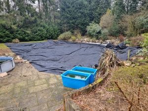 Aqua Pond, Pond Cleaning, Pond Repair, Pond Maintenance