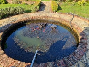 Aqua Pond, Pond Cleaning, Pond Repair, Pond Maintenance