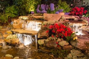 Aqua Pond, Pond Cleaning, Pond Repair, Pond Maintenance