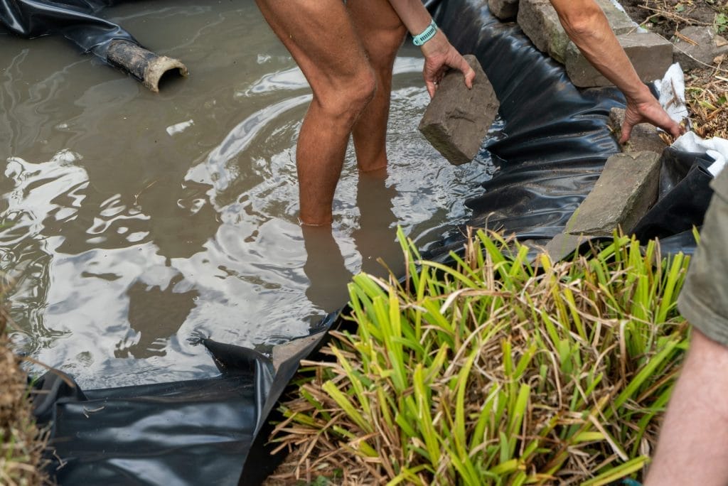 Aqua Pond, Pond Cleaning, Pond Repair, Pond Maintenance