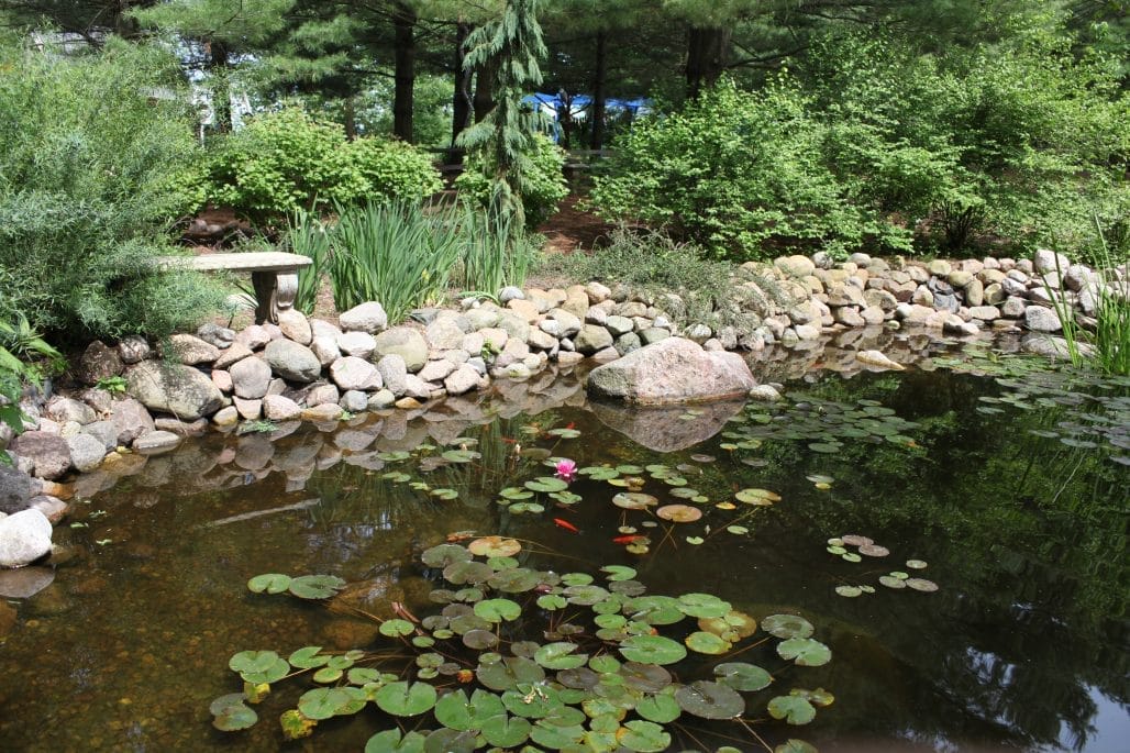 Revitalize Your Pond Today with Our Expert Cleaning Services!