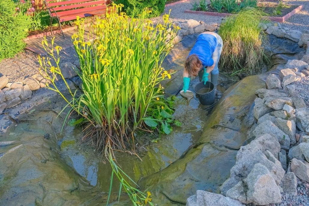 Pond Cleaning: Essential Tips for a Healthy Aquatic Environment