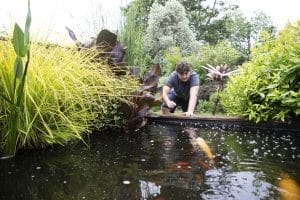 A Well Maintained Pond is a Healthy Pond: Essential Practices for Optimal Care