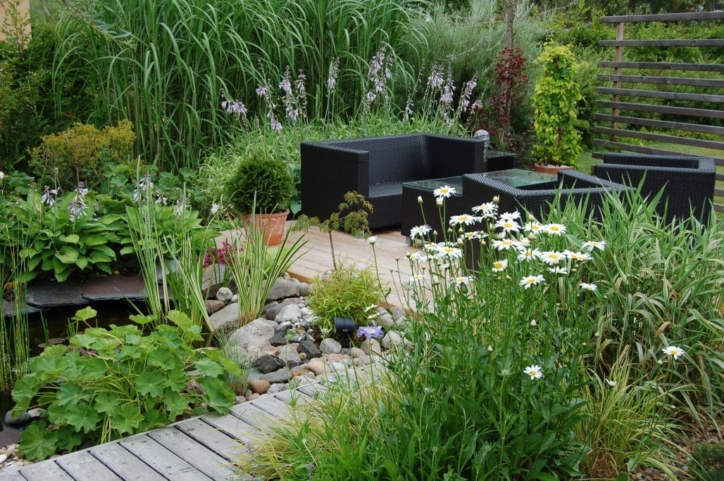 What's the Best Shape for a Garden Pond? Exploring Design Options for Your Outdoor Space