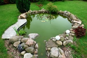 Pond Care Service