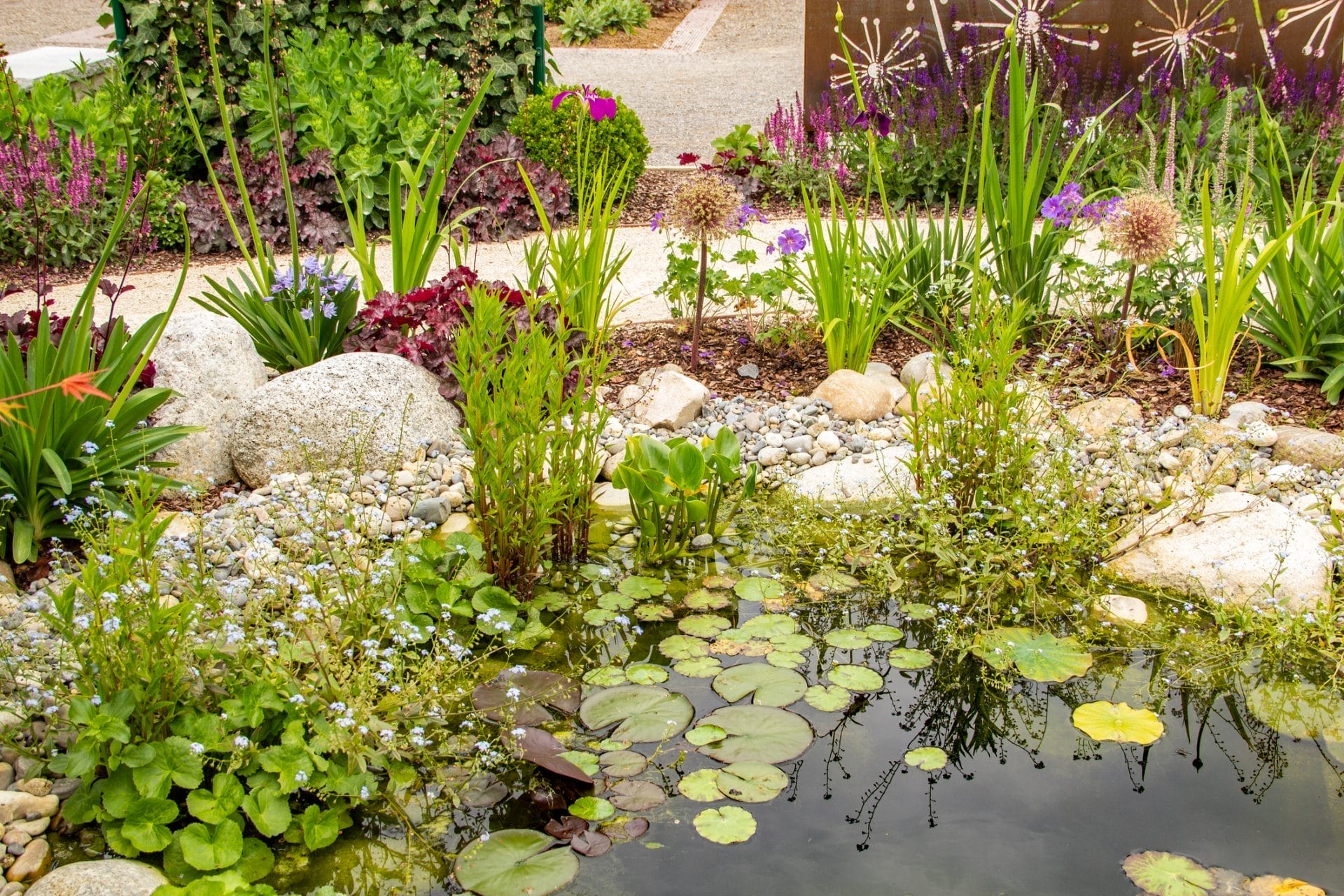 How to Make a Wildlife Pond: A Step-by-Step Guide for Beginners