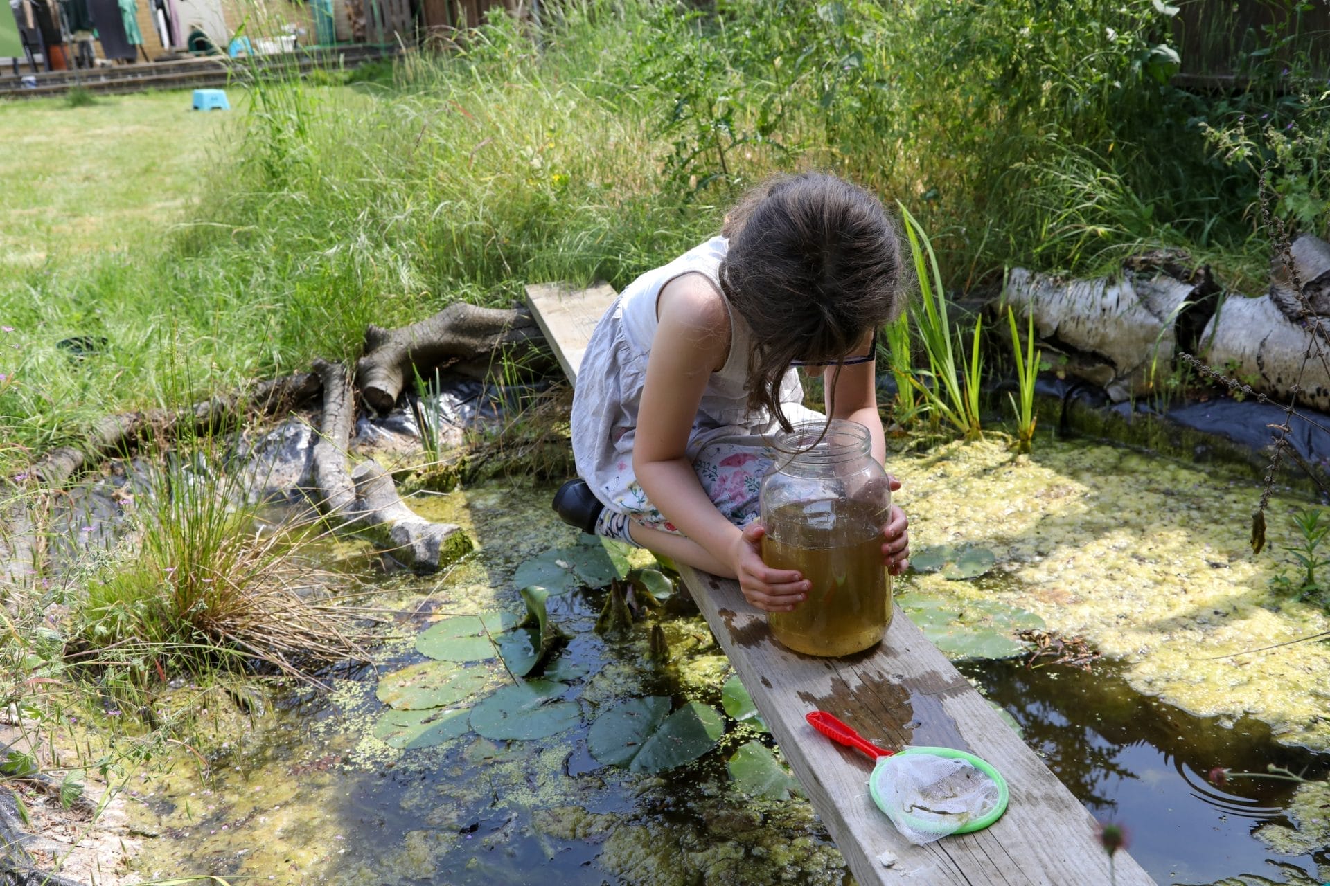 A Guide to Pond Dipping: Essential Tips and Insights for Beginners